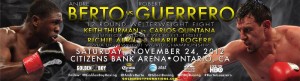 berto guerrero banner1