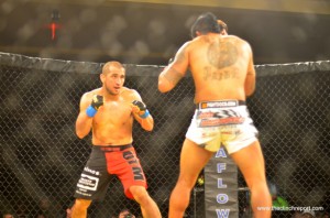 kotc lg14
