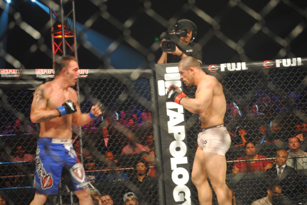 Palhares