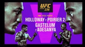 UFC 236
