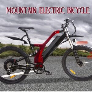 Electric Bikes