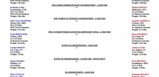 03.30.2024 vWeights copy 1