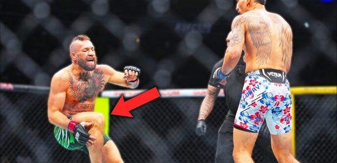 UFC 329 Results Video Highlights
