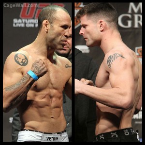 wanderlei silva vs brian stann ufc on fuel tv 8 japan