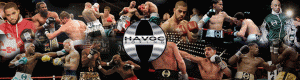 Havoc Boxing