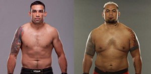Werdum-vs-Hunt-UFC-180