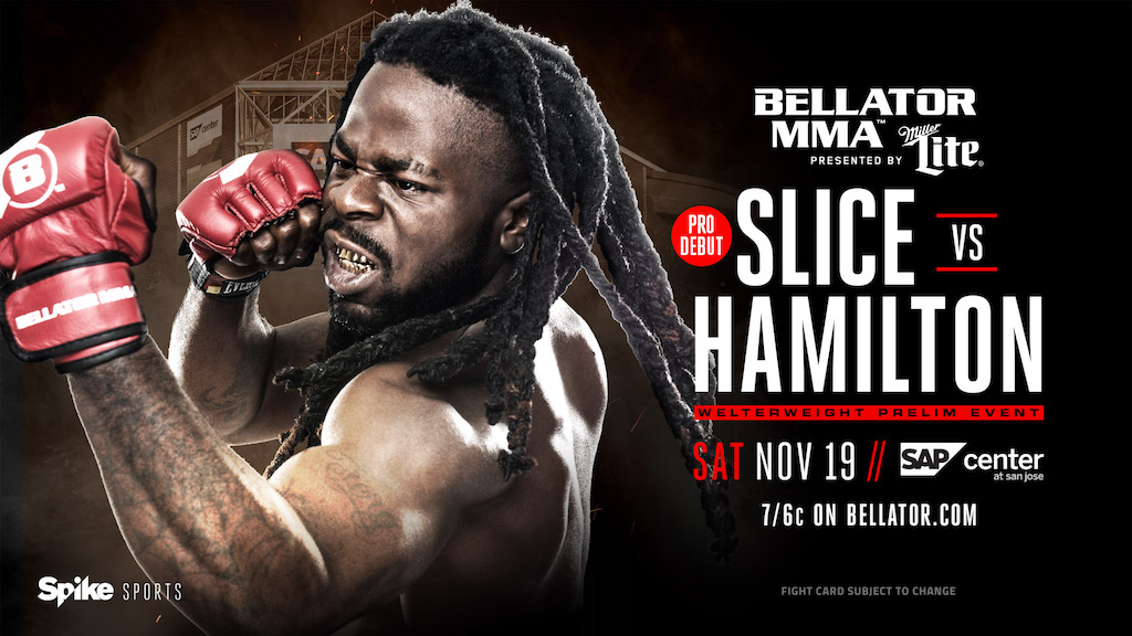 b165_1920x1080_slice_v_hamilton