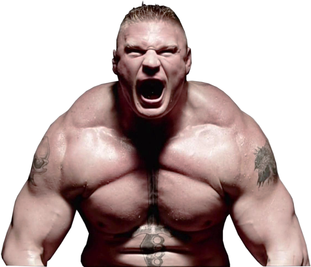 2473638 brock lesnar