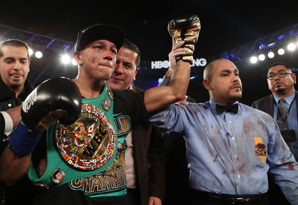 VargasBerchelt Hoganphotos