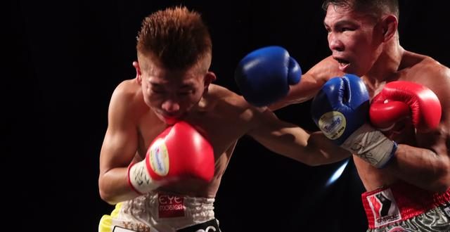 3590e75a7bd662d63bc9edcf41df4a92d3823d92 large