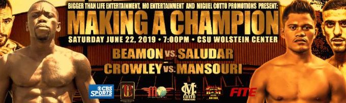 making a champion bannerCC3