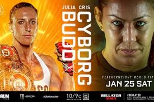 Bellator 238
