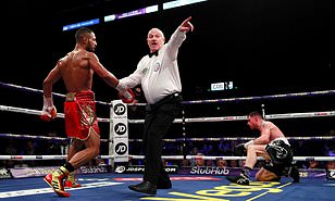 24488442 0 image a 19 1581202575661