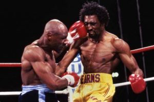 Top Rank photo