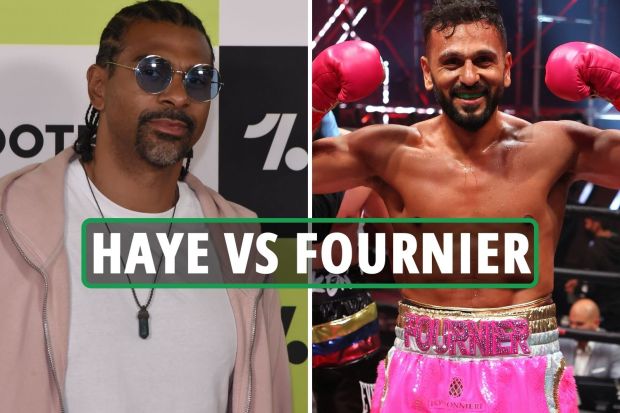 David Haye vs. Joe Fournier