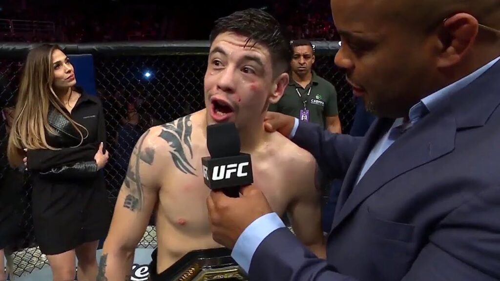 UFC 283 Results Video Highlights