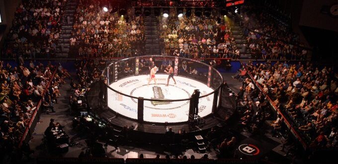 Top 5 Bets to Make when Watching MMA