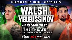 Walsh MSG Poster