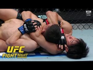 UFC Vegas 108 Results
