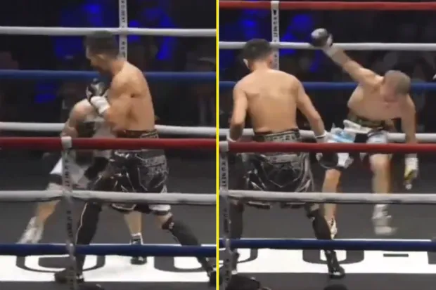 donaire vs. tsutsumi video highlights