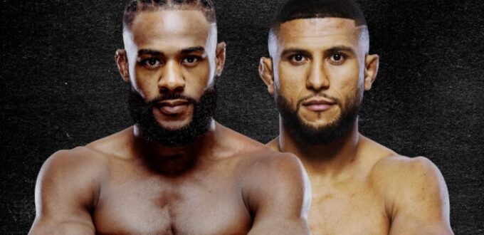 ufc fight night sterling vs zalal results